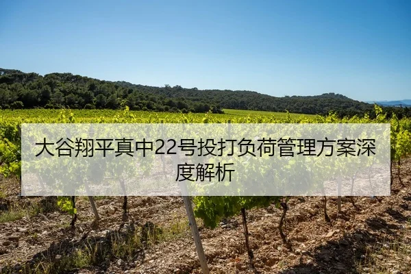 大谷翔平真中22号投打负荷管理方案深度解析