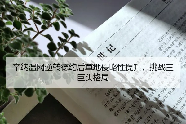 xin-na-wen-wang-ni-zhuan-de-yue-hou-cao-di-qin-lve-xing-ti-sheng-tiao-zhan-san-ju-tou-ge-ju-2-441.jpg